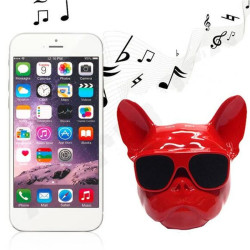 Ηχείο Bluetooth Aerobull (κόκκινο)